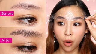 DIY Brow Lamination  The Newest Brow Trend  TINA TRIES IT [upl. by Giffie]