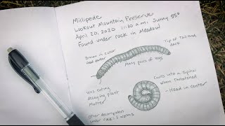 Ecosystem Investigations  Decomposers [upl. by Jorin]