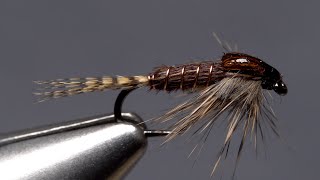 Phat and Phunky Pheasant Tail Nymph [upl. by Haletta]