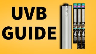 Guide to UVB Lighting What Bulb Do You Choose [upl. by Llednav]