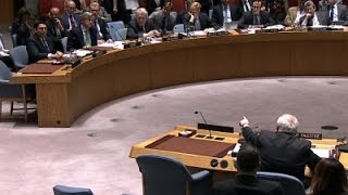 Raw Israel Palestinians in UN shouting match [upl. by Airakaz717]