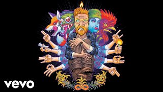 Tyler Childers  Peace of Mind Audio [upl. by Ellennej13]