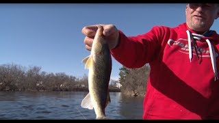 Jigging Walleyes Wisconsin River [upl. by Mitchel]