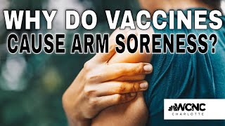 Why does your arm hurt after the COVID19 vaccine [upl. by Ardiedak451]