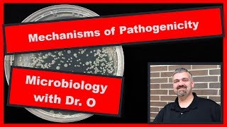 Mechanisms of Pathogenicity Microbiology [upl. by Yvonner313]