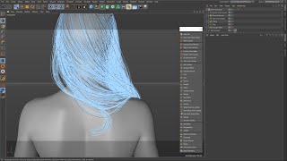 Ornatrix C4D Generating hair from NURBS curves [upl. by Nahgem29]