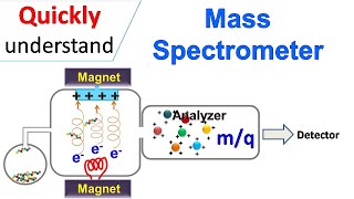 Mass spectrometry [upl. by Pegeen]