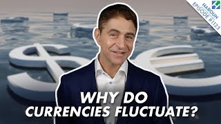 What Causes Currencies to Rise and Fall  FX 101 Finance Explained [upl. by Anaxor]