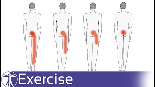 Direction Specific Exercises for Low Back Pain  Directional Preference [upl. by Barbi]