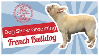 Dog Show Grooming How To Groom a French Bulldog [upl. by Peggir]