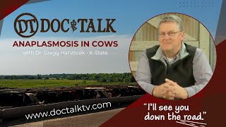 DocTalk Ep 211  Anaplasmosis in Cows [upl. by Yatzeck]