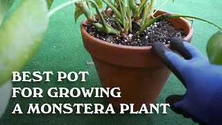 Best Pot for Growing a Monstera [upl. by Dora]