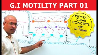 G I Motility  Gastrointestinal  Part 1 [upl. by Pedersen]