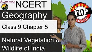 NCERT Class 9 Geography Chapter 5 Natural Vegetation amp Wildlife of India  English  CBSE [upl. by Mcintosh333]