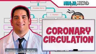 Circulatory System  Coronary Circulation [upl. by Barby]