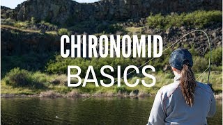 Chironomid Fly Fishing Basics [upl. by Ludwig]