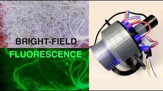 Lowcost Fluorescence Microscope [upl. by Mulcahy701]