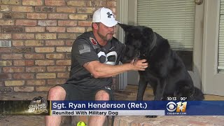 Military Dog Reunited With Soldier 5 Years Later [upl. by Kado653]