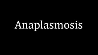 How to pronounce Anaplasmosis [upl. by Sancha]