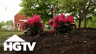 All About Azaleas  Gardening Tips  HGTV [upl. by Eemyaj441]