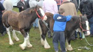 BALLINASLOE HORSE FAIR 2011 [upl. by Janicki]