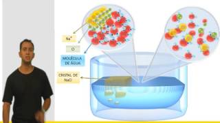 A Composição Química da Célula [upl. by Ellenrahc300]