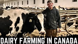 A Day On A Saskatchewan Dairy [upl. by Ahsinert680]