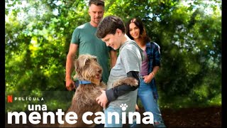 Una Mente Canina  Trailer en Español Latino l Netflix [upl. by Ahtel]