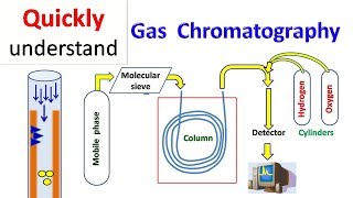 Gas chromatography  GC [upl. by Farah46]