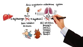 Pharmacology  HYPERTENSION amp ANTIHYPERTENSIVES MADE EASY [upl. by Nelac791]