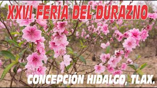 FERIA DEL DURAZNO EN CONCEPCIÓN HIDALGO ALTZAYANCA TLAXCALA [upl. by Alauqahs]