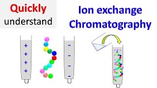 Ion exchange chromatography [upl. by Karie]