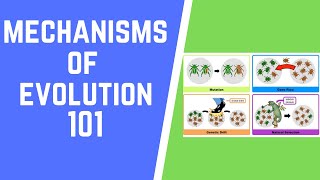 Mechanisms of Evolution 101 [upl. by Creath]