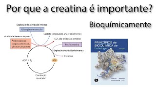 A Bioquímica da Creatina Porque ela é importante [upl. by Ahtabbat]