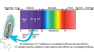 Psoriasis UVB Light  60 days in  The Results [upl. by Yeliak]