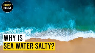 Why there is salt in the ocean [upl. by Kaja]