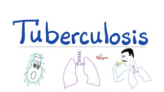 Tuberculosis TB  The Most Comprehensive Explanation  Respiratory Pathology  Pulmonology Series [upl. by Kovar]