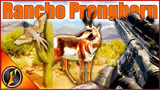 Hunting Pronghorn on Rancho  The Perfect Backfilled Species [upl. by Otrebla]