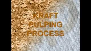 Pulp and Paper Process Flow Introduction [upl. by Anazus]