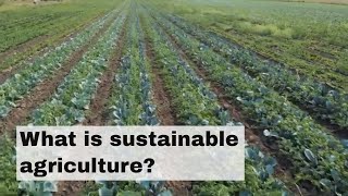 What is sustainable agriculture [upl. by Eerazed]