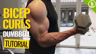 Bicep Curls — DUMBBELL FORM amp TECHNIQUE [upl. by Ssirk]