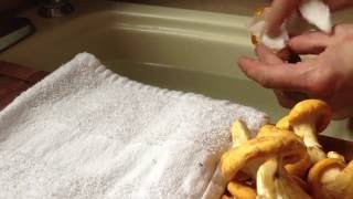 How to Clean Chanterelle Mushrooms [upl. by Richey]