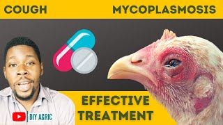 How to Treat Cough in Chickens Chronic Respiratory Disease in Poultry [upl. by Anayhd]