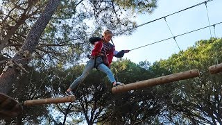 Going Treetop Trekking [upl. by Ibed]