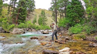 Fly Fishing the most INCREDIBLE Stream in Wyoming  Fly Fishing Wyoming part 3 [upl. by Reivaz]