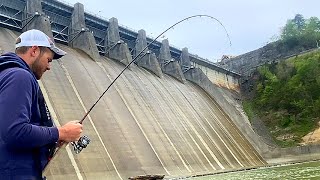 Fishing Below a Massive Dam For Anything That Will Bite [upl. by Mather41]