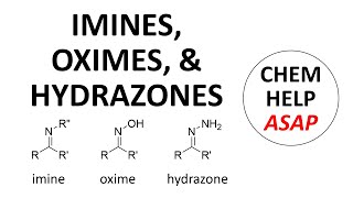 imines hydroxylamines amp hydrazones [upl. by Zippora]