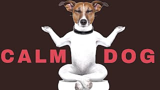 Sound To Calm Dogs Within 5 Minutes  Dog Hypnosis [upl. by Ruvolo867]