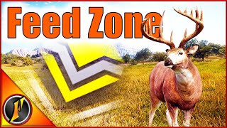 Diamond Whitetail in a Rancho Del Arroyo Feed Zone [upl. by Eilliw]