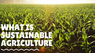 What is Sustainable Agriculture And How We Practice It [upl. by Enecnarf118]